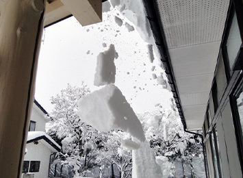 風・雹・雪災