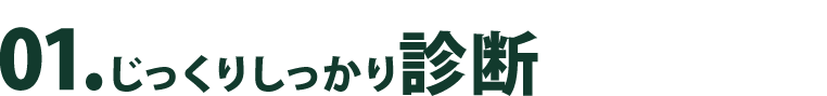 01.じっくりしっかり診断