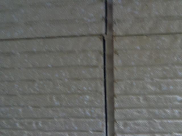 20140512nsama006.jpg