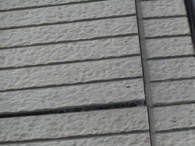 20141030hsama012.jpg