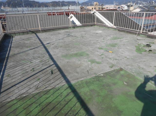 20150216ysama008.jpg