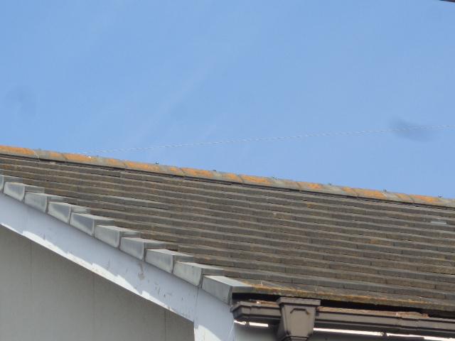 20150323nsama012.jpg