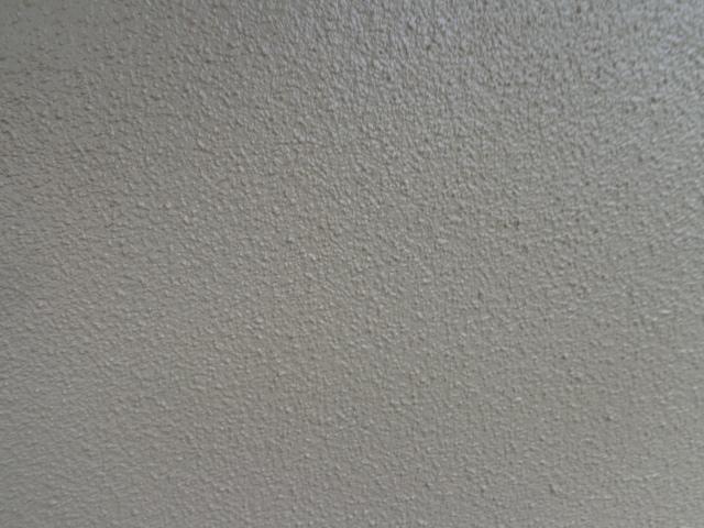 20150424ssama015.jpg