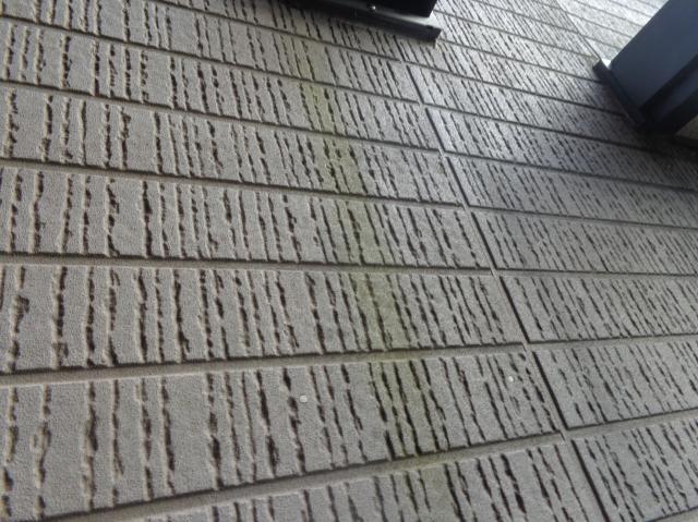 20160326ysama008.jpg