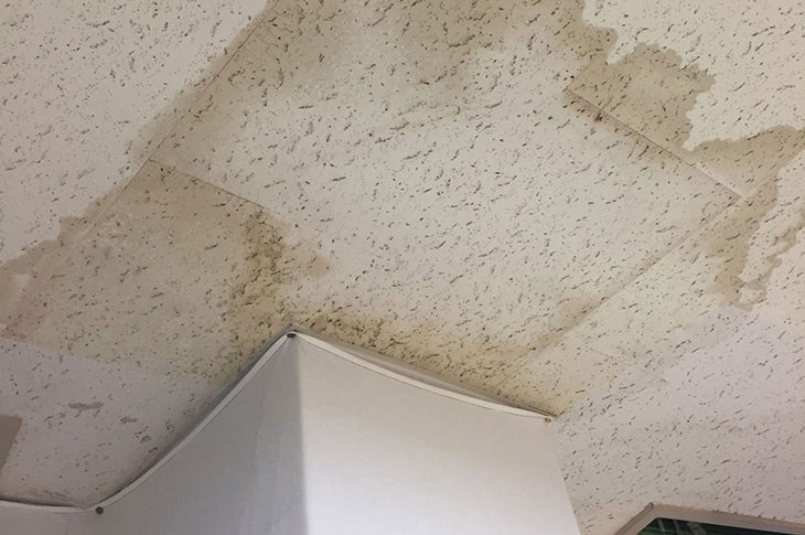 本当に怖い雨漏りのニ次被害 静岡県で外壁塗装 屋根塗装をするなら実績no1のアップリメイク 静岡市 焼津市 藤枝市 島田市 本当に怖い雨漏りのニ次被害 静岡県で外壁塗装 屋根塗装をするなら実績no1のアップリメイク 静岡市 焼津市 藤枝市 島田市