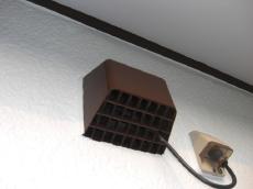 外壁と換気フードの仕上がり。