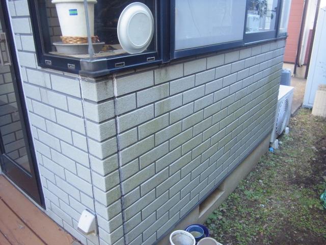 1階の外壁に苔が付着していました。