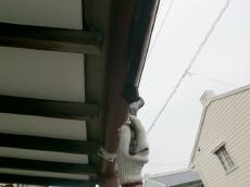 雨樋の塗装。