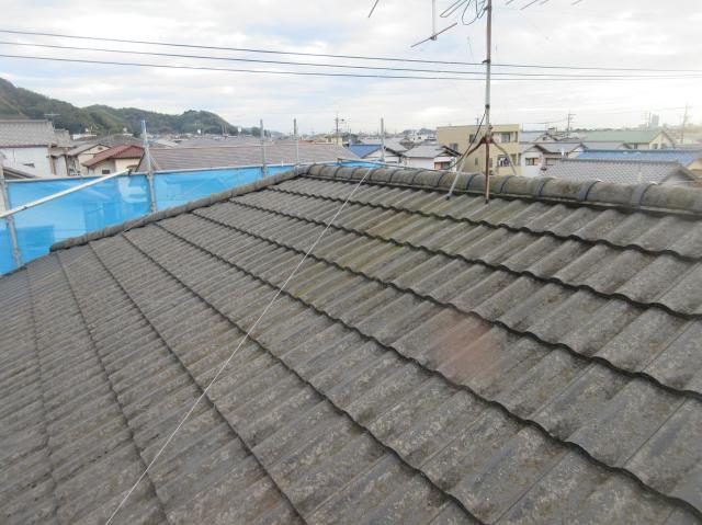 屋根に色あせや汚れが見られました。