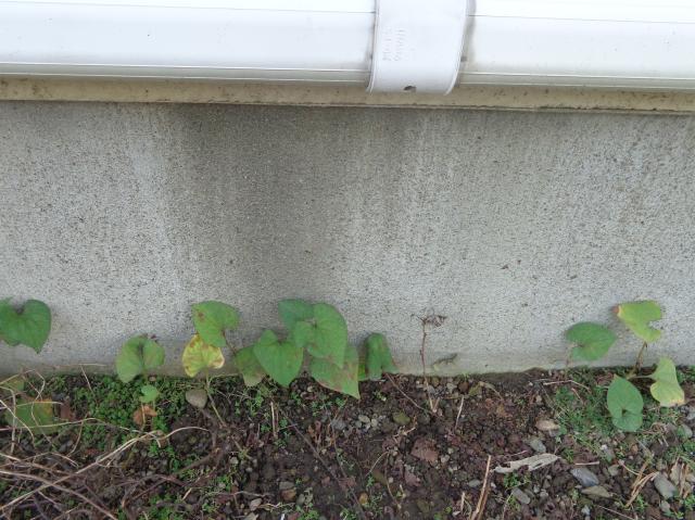 基礎には汚れや劣化が見られました。