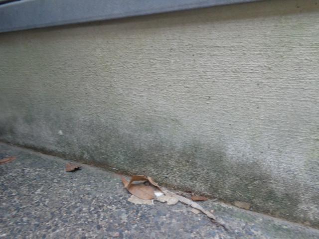 基礎の状態は汚れが目立っていました。