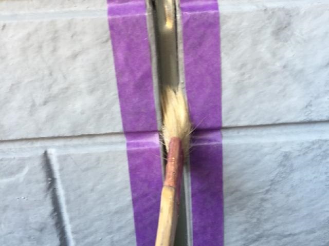 プライマーを塗布します。