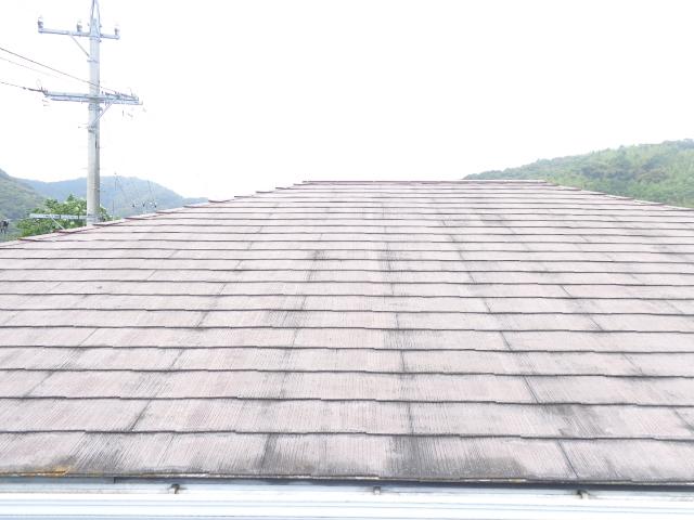 色褪せと苔が見られた屋根。