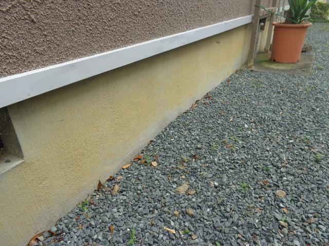 苔とひび割れが見られた基礎。