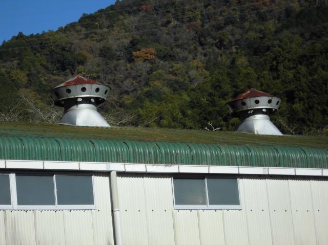 苔が広がっていた屋根。