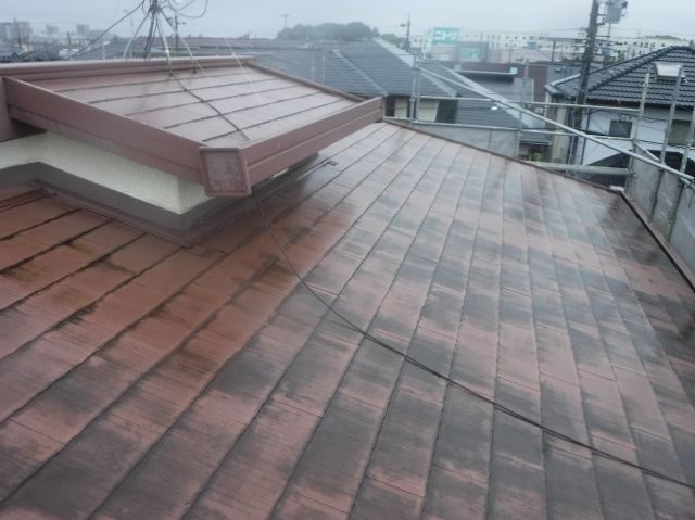 足場設置後に確認した屋根の状態。