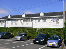 離れた位置から見た施工後の外観。