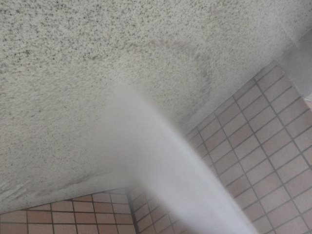 高圧洗浄の様子